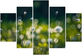 Tablou - Iarbă (150x105 cm)