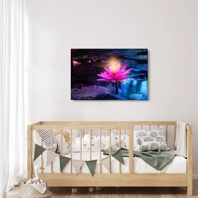 Tablou cu lotus pe apă (90x60 cm)