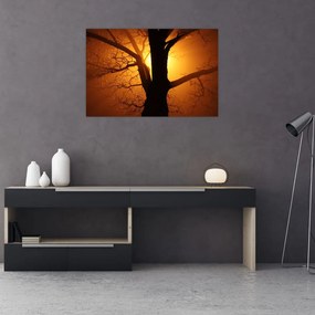 Tablou cu copac în apus de soare (90x60 cm)