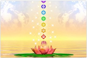 Tablou - Chakrele (90x60 cm)