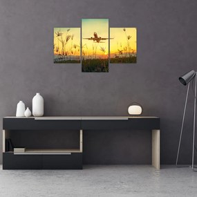 Tablou cu avion zburând (90x60 cm)