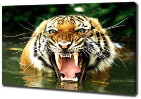 Tablou canvas Hohotitor tigru