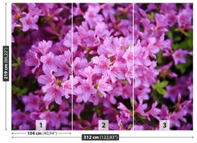 Fototapet Rhododendron roz