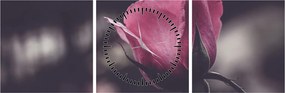 Tablou - Detaliu florii de trandafir (cu ceas) (90x30 cm)