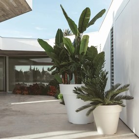 Ghiveci plante design decorativ exterior/interior MACETA PLANTER 200x172cm