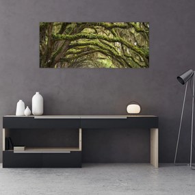 Tablou - Oaks Avenue, Charleston, Carolina de Sud, SUA (120x50 cm)