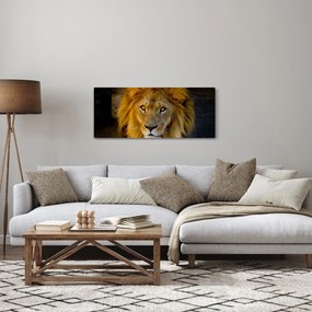 Tablou - Portret de leu (120x50 cm)
