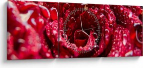 Tablou cu floarea trandafirului roșu (cu ceas) (90x30 cm)
