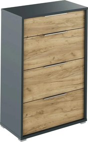 Comoda RIOMA NEW TYP 22, gri grafit/stejar artisan, PAL laminat, 75x38