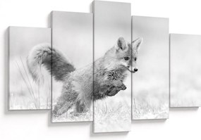 Tablou - Vulpe care sare,alb-negru (150x105 cm)
