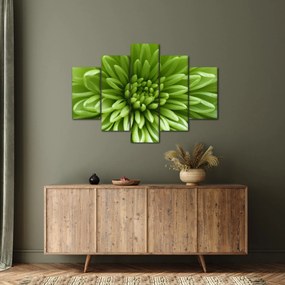 Tablou - Imagine macro a unei plante (150x105 cm)