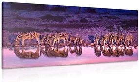 Tablou zebre în safari