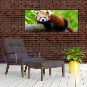 Tablou cu panda roșie (120x50 cm)