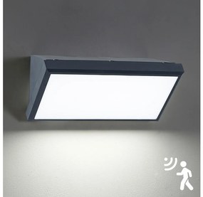 Aplică LED de exterior cu senzor Brilagi TRIANGLE LED/20W/230V antracit