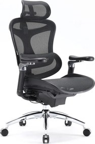 Scaun Ergonomic SIHOO Doro C300 Pro M101, Suport Lombar Adaptiv Inteligent, Spătar Reglabil pe Înălțime, Tetieră 3D, Cotiere 6D PU, Șezut Glisant, Reclinare 135°, Mesh, Negru