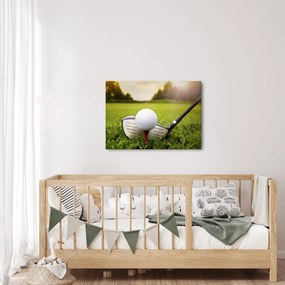 Tablou - Golf (70x50 cm)