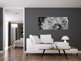 Tablou - mulțime de păpădii (120x50 cm)