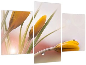 Tablou - Flori de primăvară (90x60 cm)