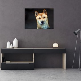 Tablou cu câine (70x50 cm), în 40 de alte dimensiuni noi