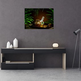 Tablou pe sticlă cu obiectele spa (70x50 cm)