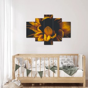 Tablou - Floarea-soarelui în fundal negru (150x105 cm)
