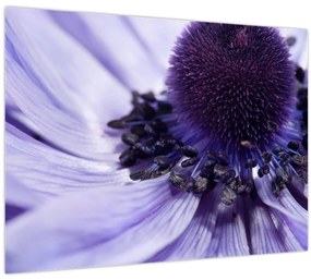 Tablou - Floare mov (70x50 cm)