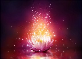 Tablou cu floare de lotus (70x50 cm)