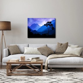 Tablou - Cerul de noapte din Nepal (70x50 cm)