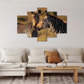Tablou - Două zebre (150x105 cm)
