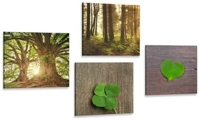 Set tablouri briza naturii