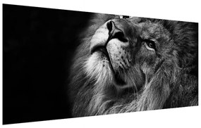 Tablou albnegrucu leu (120x50 cm), în 40 de alte dimensiuni noi