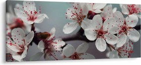 Tablou cu floare - roșie (120x50 cm)
