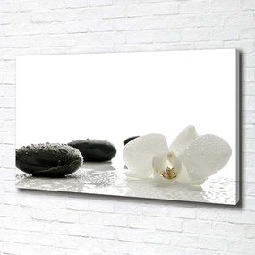 Tablou pe pânză canvas Orhidee