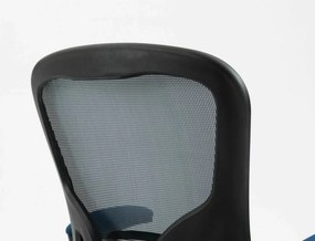Scaun de birou Q333 gri/albastru