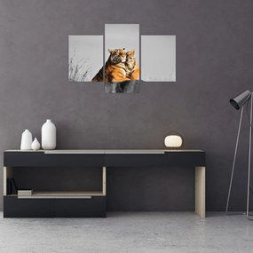 Tablou - Tigroaica cu pui, versiunea alb-negru (90x60 cm)