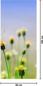 Fototapet pentru ușă - Floare și fluture (95x205cm)
