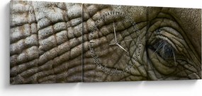 Tablou - Prim-planul ochiului de elefant vechi (cu ceas) (90x30 cm)