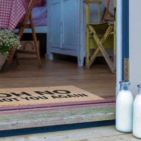 Covoraș de intrare din fibre de nucă de cocos 40x60 cm Not You Again – Artsy Doormats