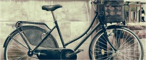 Tablou - Bicicleta de epocă cu flori (120x50 cm)