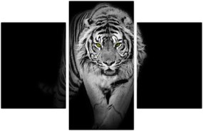 Tablou - Tigru cu ochi galbeni (90x60 cm)