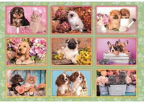 Animale Puppies Collage Puzzle Clementoni de 180 de piese