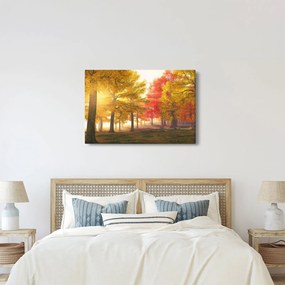 Tablou cu copaci toamna (90x60 cm)