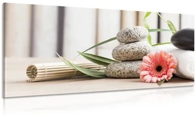 Tablou natura moartă meditativă și wellness