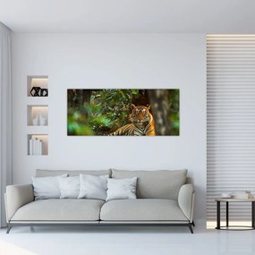 Tablou - Tigru odihnindu -se (120x50 cm)