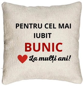 Perna Decorativa Canapea pentru Bunicul 3, 40x40 cm, Cu fermoar