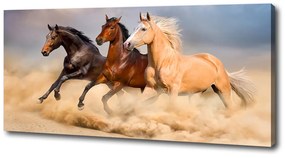 Tablou canvas Galopantă cai