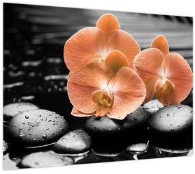 Tablou - Orhidee portocalii (70x50 cm)