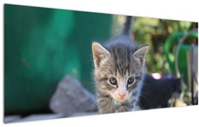 Tablou cu pisicuțe (120x50 cm)