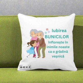 Cadou pentru Bunici - Perna Personalizata Bunicii Iubirea Infloreste cu Nepoata Teal, 40x40 cm, Alba Mata, Husa Detasabila, Perna Inclusa, BEKZ®