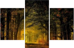 Tablou cu pădure (90x60 cm)